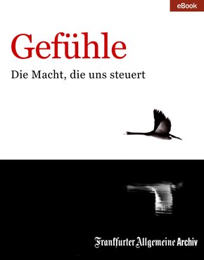 Gefühle (eBook, PDF)