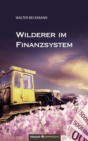 Wilderer im Finanzsystem (eBook, ePUB)