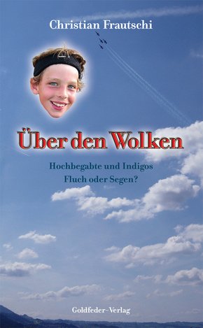 Über den Wolken (eBook, ePUB)