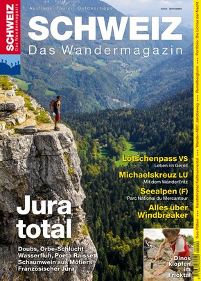 Jura total (eBook, PDF)