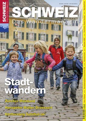 Stadtwandern (eBook, PDF)