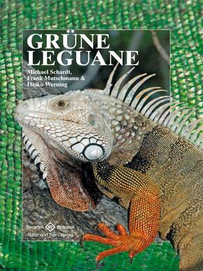 Grüne Leguane