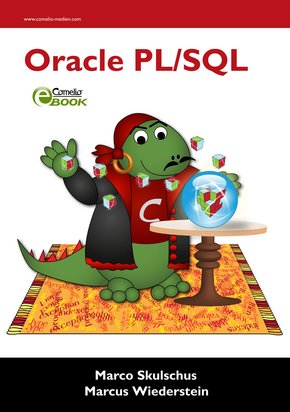 Oracle PL/SQL (eBook, PDF)