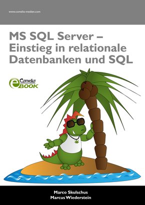 MS SQL Server (eBook, PDF)