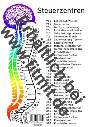 Steuerzentren Wirbelsäule