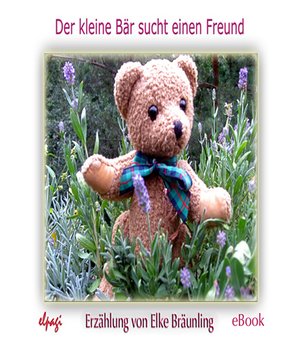 Der kleine Bär sucht einen Freund (eBook, PDF)