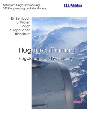 Flugplanung und Monitoring (eBook, PDF)
