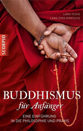Buddhismus für Anfänger (eBook, ePUB)
