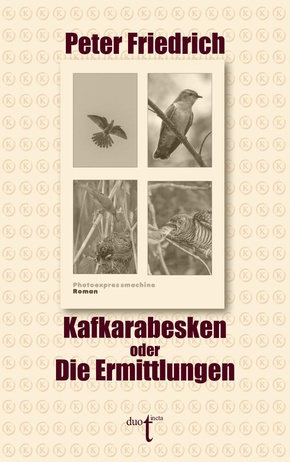 Kafkarabesken oder Die Ermittlungen