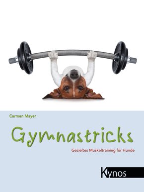 Gymnastricks (eBook, ePUB)