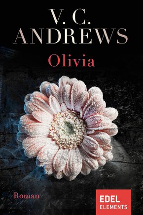 Olivia (eBook, ePUB)