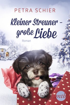 Kleiner Streuner - große Liebe (eBook, ePUB)