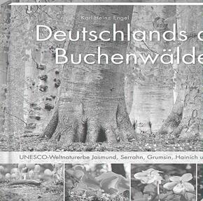 Deutschlands alte Buchenwälder