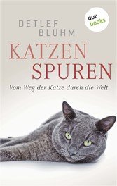 Katzenspuren (eBook, ePUB)