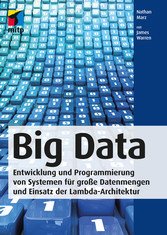 Big Data (eBook, PDF)