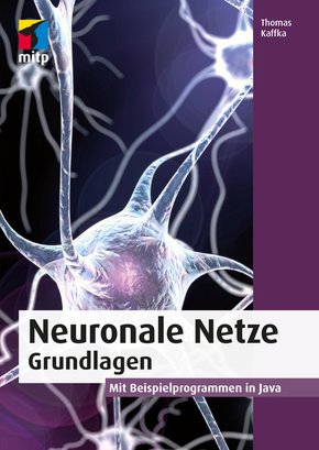 Neuronale Netze - Grundlagen (eBook, PDF)