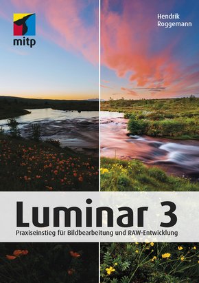 Luminar 3 (eBook, ePUB)