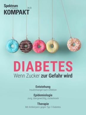 Spektrum Kompakt - Diabetes (eBook, PDF)