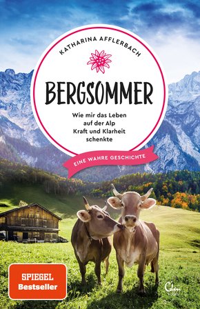 Bergsommer (eBook, ePUB)