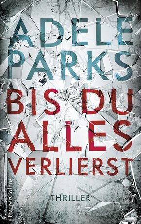 Bis du alles verlierst (eBook, ePUB)