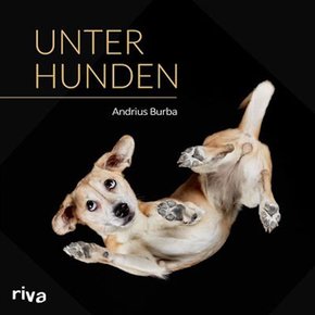 Unter Hunden (eBook, PDF)