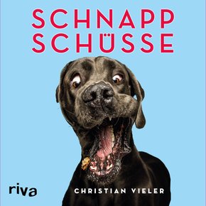Schnappschüsse (eBook, ePUB)