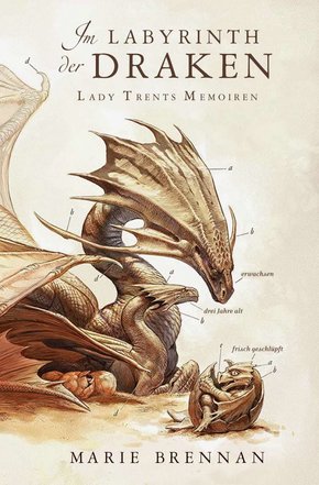Lady Trents Memoiren 4: Im Labyrinth der Draken (eBook, ePUB)