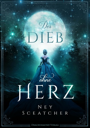 Der Dieb ohne Herz (eBook, ePUB)