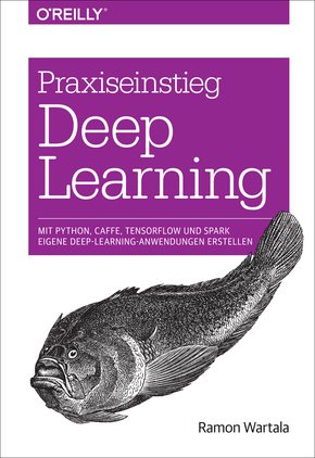 Praxiseinstieg Deep Learning (eBook, ePUB)