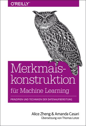 Merkmalskonstruktion für Machine Learning (eBook, ePUB)
