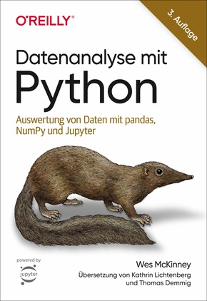 Datenanalyse mit Python (eBook, PDF)