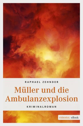 Müller und die Ambulanzexplosion (eBook, ePUB)