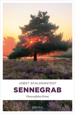 Sennegrab (eBook, ePUB)