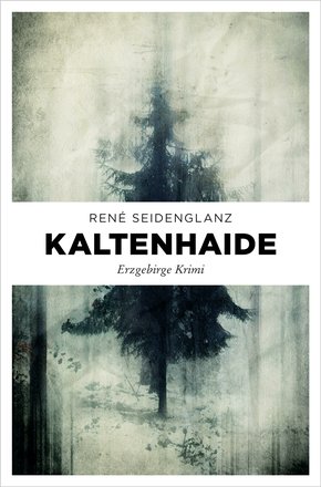 Kaltenhaide (eBook, ePUB)