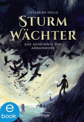 Sturmwächter (eBook, ePUB)
