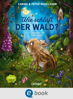 Wie schläft der Wald? (eBook, ePUB)
