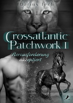Crossatlantic Patchwork 1 (eBook, ePUB)