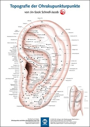 Poster - Topografie der Ohrakupunkturpunkte