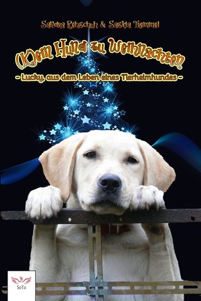 (K)ein Hund zu Weihnachten (eBook, ePUB)