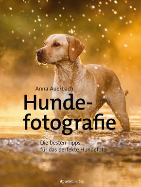 Hundefotografie (eBook, ePUB)