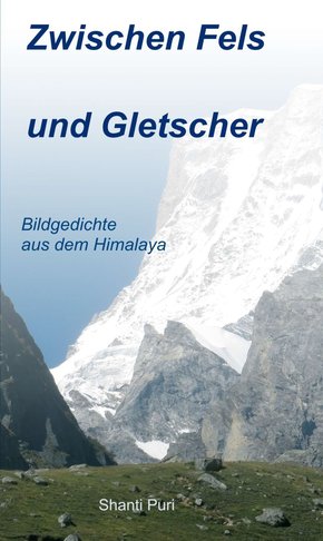 Zwischen Fels und Gletscher (eBook, ePUB)