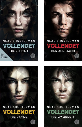 Vollendet - Die komplette Serie (4 Bücher)