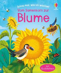 Schau mal, wie ich wachse! Vom Samenkorn zur Blume