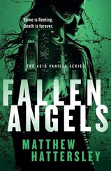 Fallen Angels: a white-hot page-turning assassination thriller