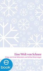 Eine Welt von Schnee (eBook, ePUB)