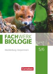 Fachwerk Biologie - Mecklenburg-Vorpommern 2023 - 5./6. Schuljahr