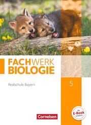Fachwerk Biologie - Realschule Bayern - 5. Jahrgangsstufe