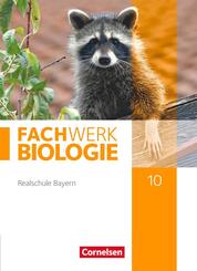 Fachwerk Biologie - Realschule Bayern - 10. Jahrgangsstufe