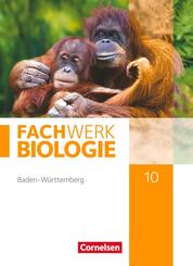 Fachwerk Biologie - Baden-W&uuml;rttemberg - 10. Schuljahr