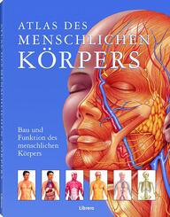 Atlas des menschlichen K&ouml;rpers